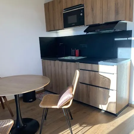 Apartment Avec Balcon Pra Chauvet